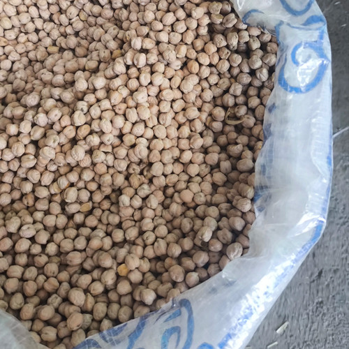 نخود دوخان30kg (سایز9-10) فی:۲20